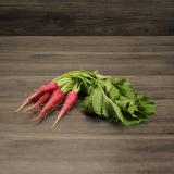 Rettich rot im Bund Wulksfelde