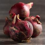 Zwiebeln rot Wulksfelde