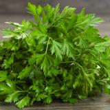 Bund Petersilie Wulksfelde