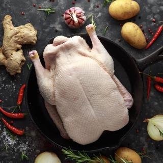 Ente klein mit Innereien ca 2. kg