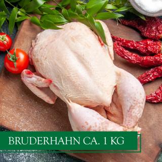 Bruderhahn Wulksfelde ca. 1,2 kg