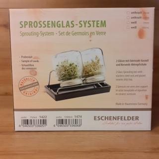 Sprossengläser 2 Stk mit Keramikschale