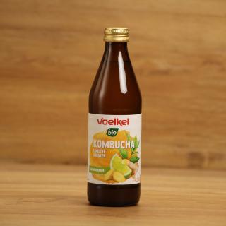 Kombucha Limette Ingwer