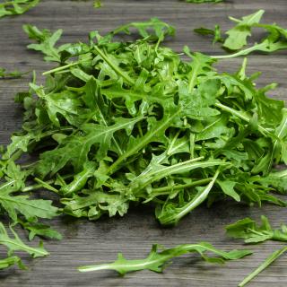 Rucola im Bund Wulksfelde