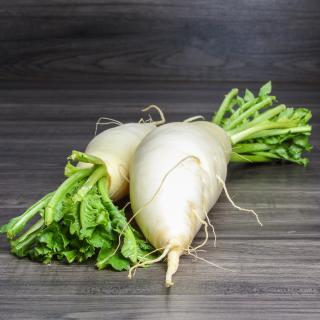 Rettich rot im Bund Wulksfelde