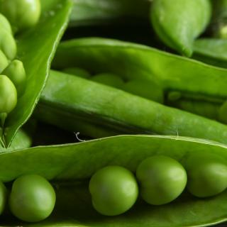 Erbsen frisch
