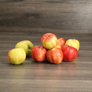 Äpfel Gravensteiner regional