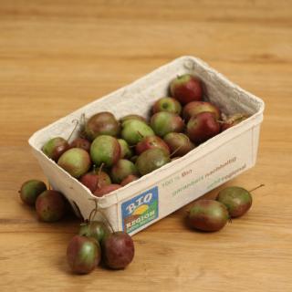 Mini Kiwis 250 g Schale regional