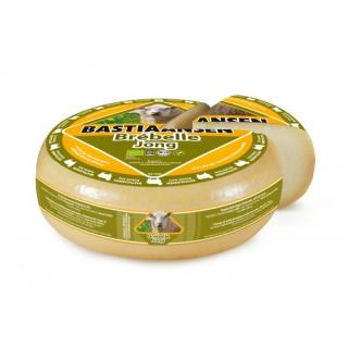 Brébelle Schafgouda jung 50%