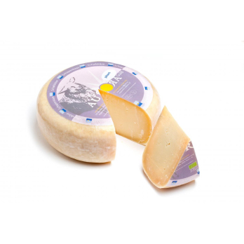 Aurora Gold Schafgouda pikant 50 %
