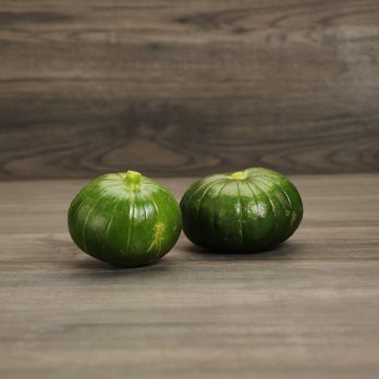 Zaphito Wulksfelde
