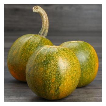 Kürbis Rondini Wulksfelde ca 300 gr Wulksfelde
