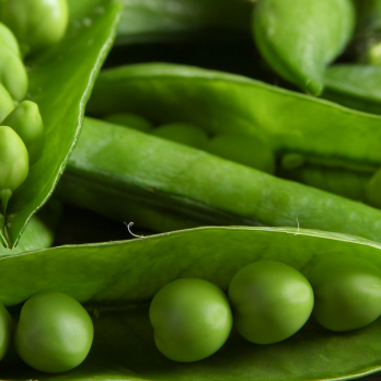 Erbsen frisch