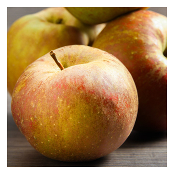 Äpfel Holsteiner Cox regional