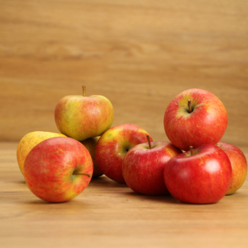 Äpfel Antares-Dalinbel regional