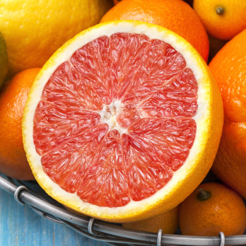 Orangen rose Cara Cara