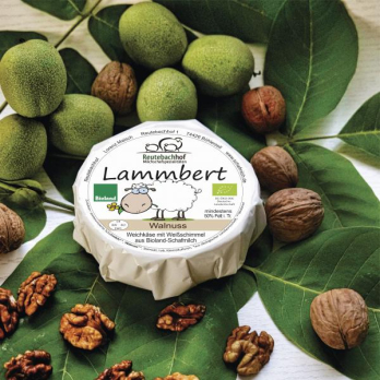Lammbert Schaf Weichkäse Walnuss 50%