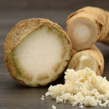 Meerrettichwurzel frisch