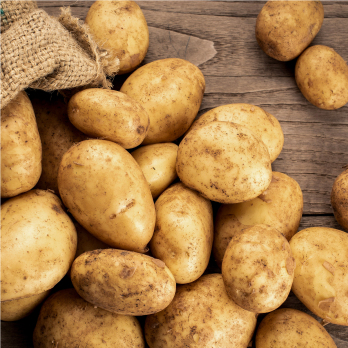 Kartoffeln fk Belana 5 kg Wulksfelde